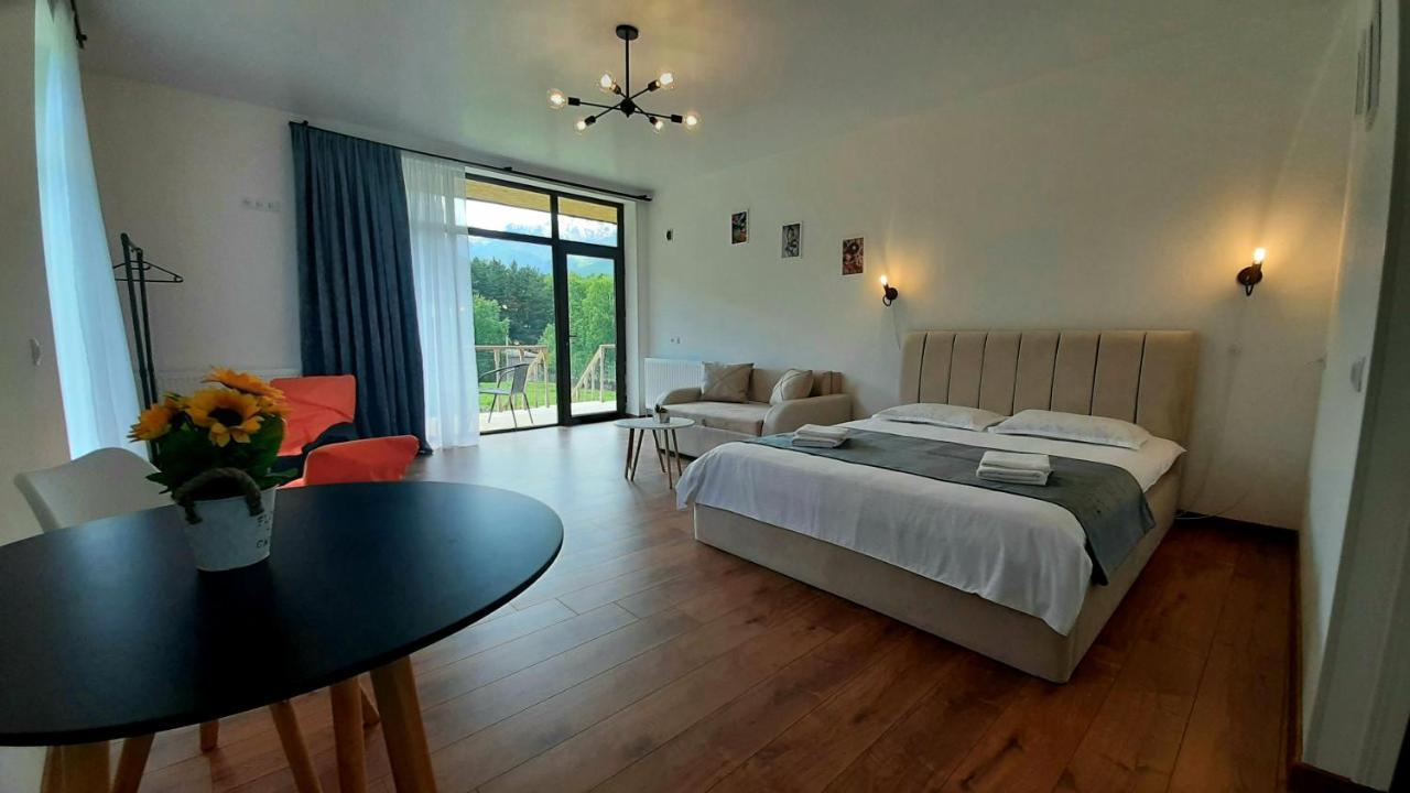 Hotel Terkhena à Kazbegi Extérieur photo