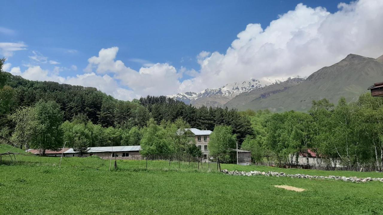 Hotel Terkhena à Kazbegi Extérieur photo